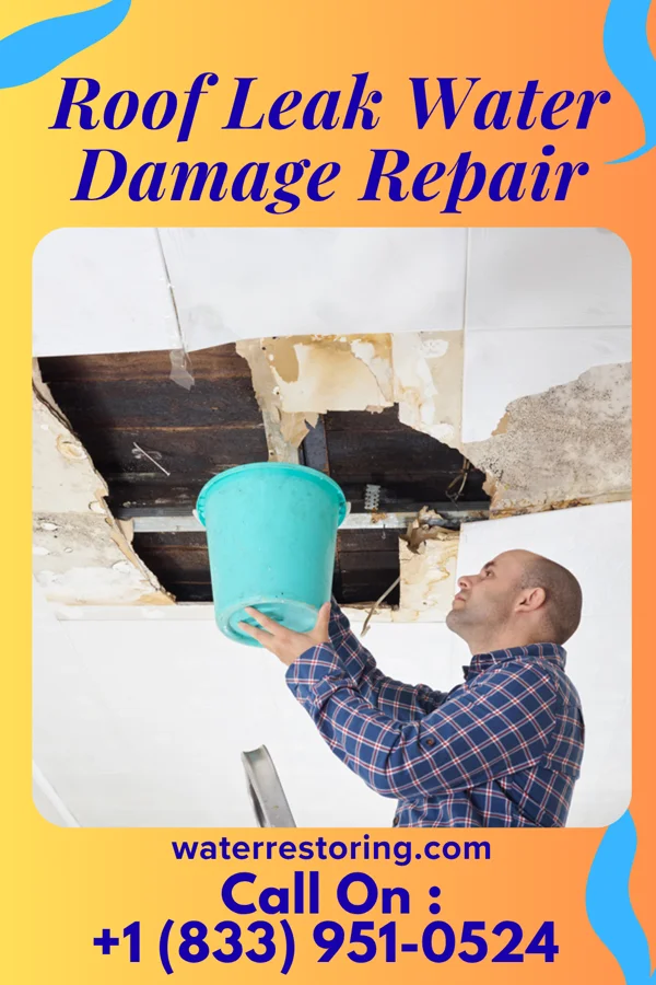 Roof Leak Water Damage Repair in Evansville, MN