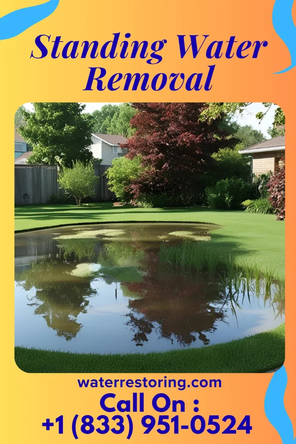 Standing Water Removal in Evansville, MN